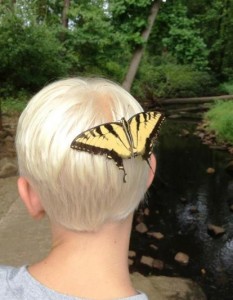 2012 Nature camp 1