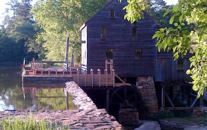 Our shiny new forebay